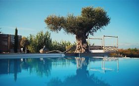 Villa De Luxe Avec Piscine, Vue Imprenable