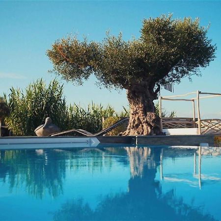 Villa De Luxe Avec Piscine, Vue Imprenable Séné Exterior foto