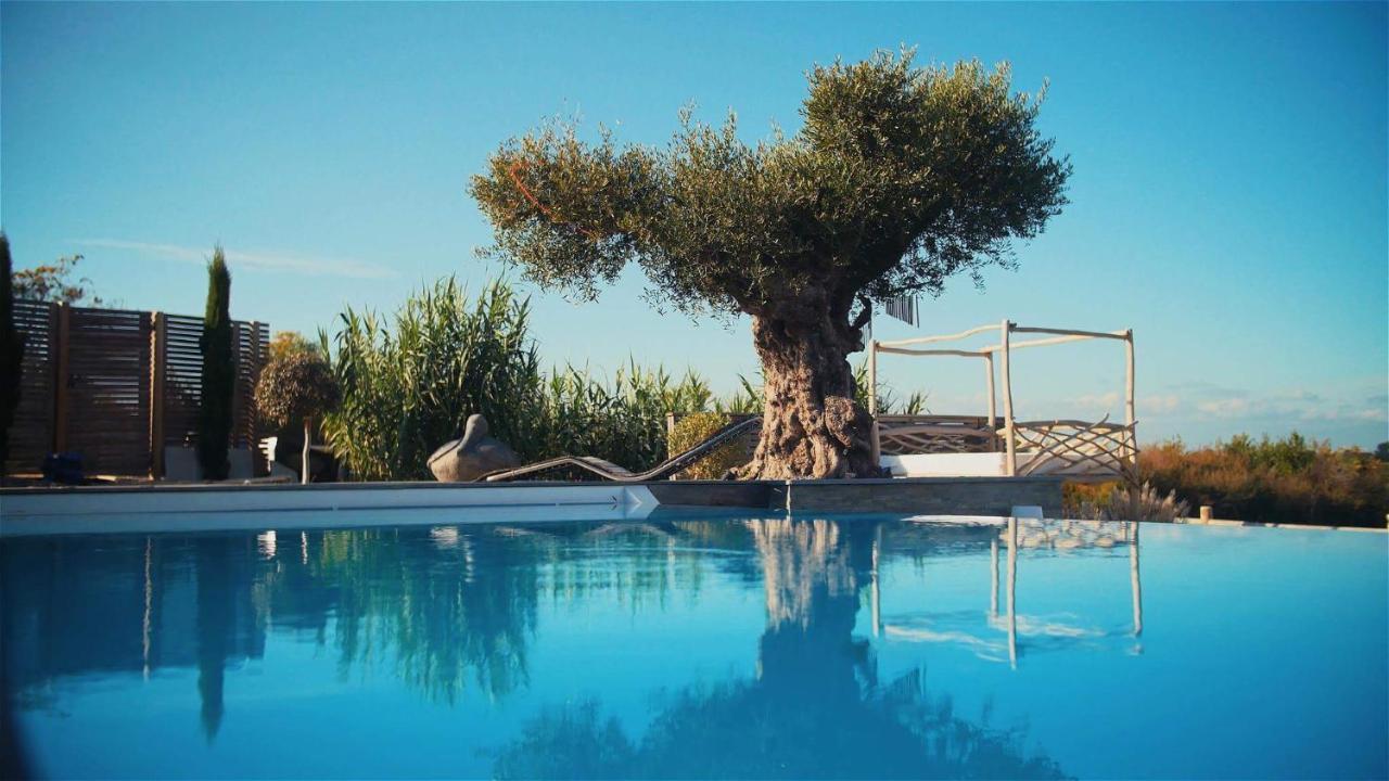 Villa De Luxe Avec Piscine, Vue Imprenable Séné Exterior foto